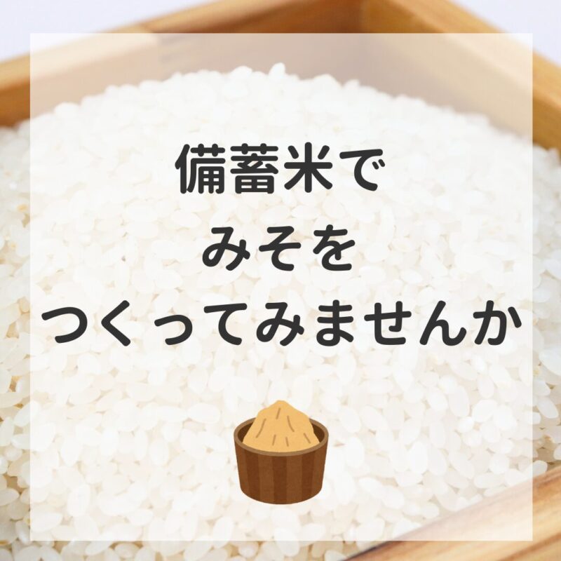 備蓄米でみそをつくってみませんか